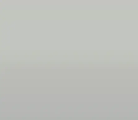 RAL 7035.webp