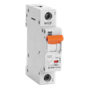 Sicherungsautomat Teco 1P 63A 10kA Kurve C