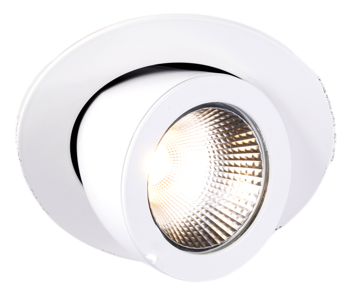 TECO LED Uittr. DL SATURNO 6'' 30W 36° 3000K Ra90 Zdr.Driver + Vrouw. stek. 15cm